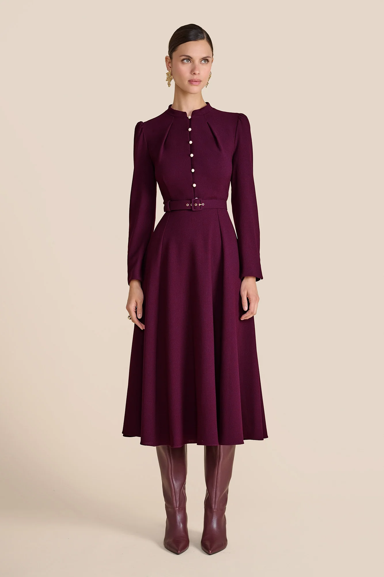 Ahana Plum Long Sleeve Dress