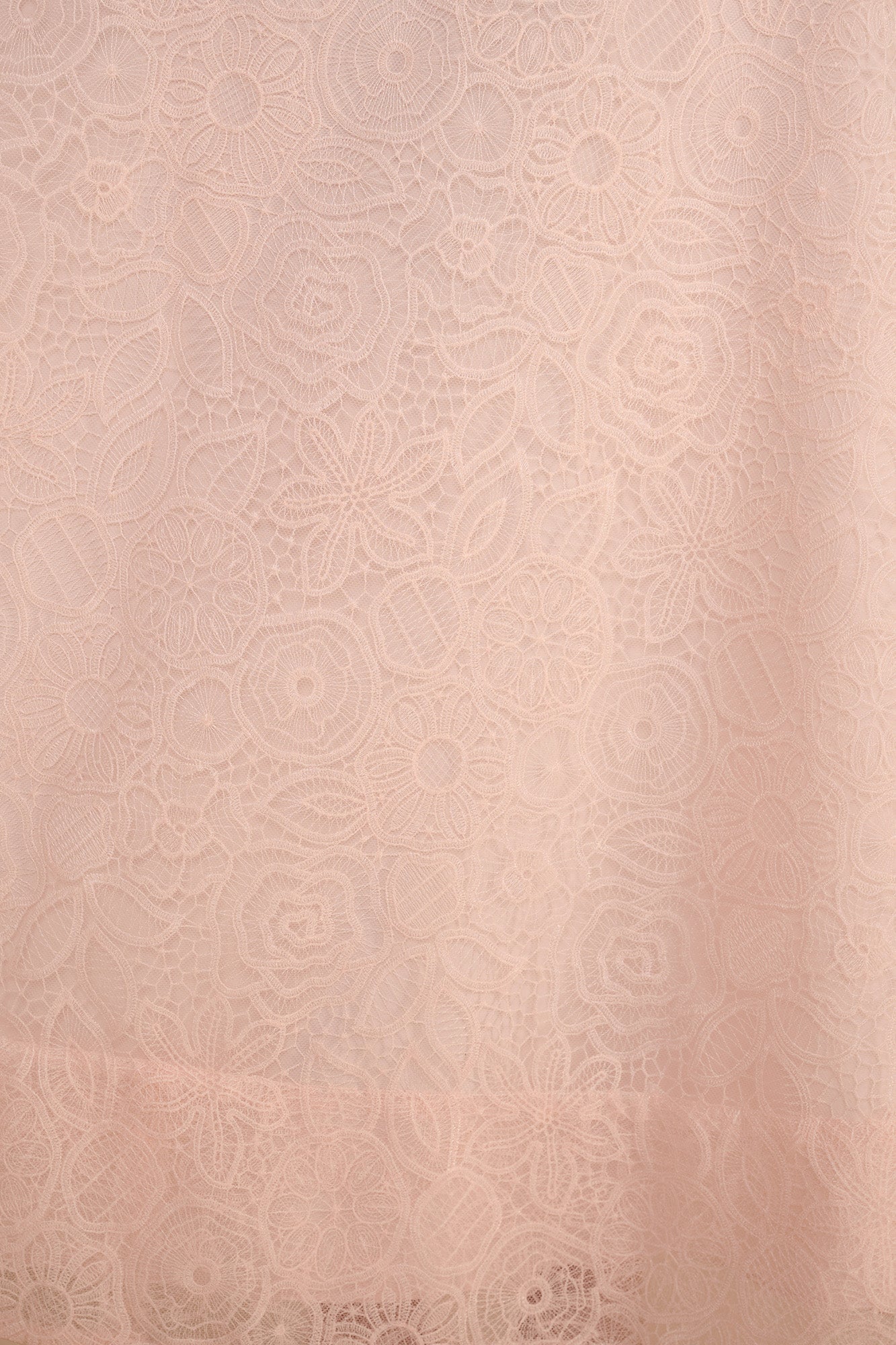Sonia Blush Lace Dress - Image 7